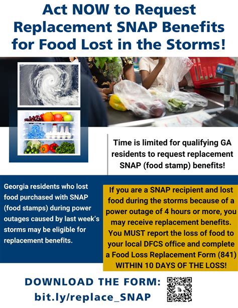 Georgia Food Stamps Replacement Benefits Image 2