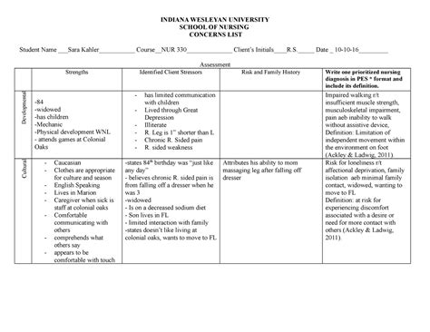 Gerontological Care Plan Template