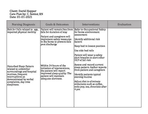 Gerontological Nursing Care Plan Template