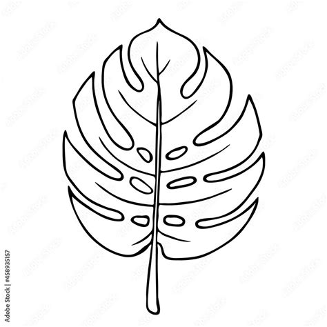 Start Creating with Monstera Leaf Outlines Today