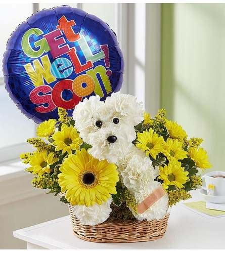 Heartfelt Get Well Soon Arrangements