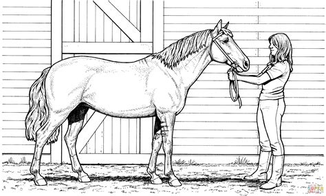 Tips for getting the most out of a horse coloring book