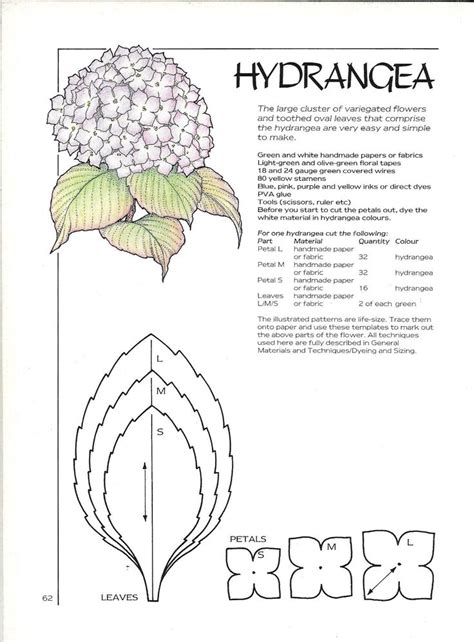 Giant Hydrangea Flower Template