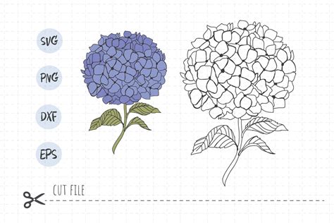 Giant Hydrangea Flower Template SVG