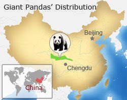 Giant Panda Habitat Map