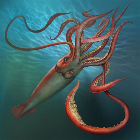 Giant Squid