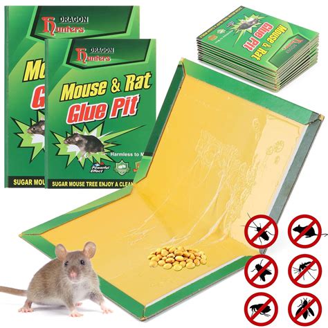 Description of Glue Traps