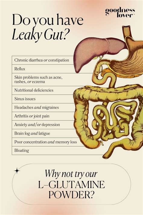 Gut health illustration