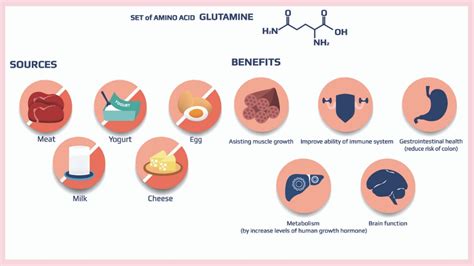 Glutamine for Gut Health