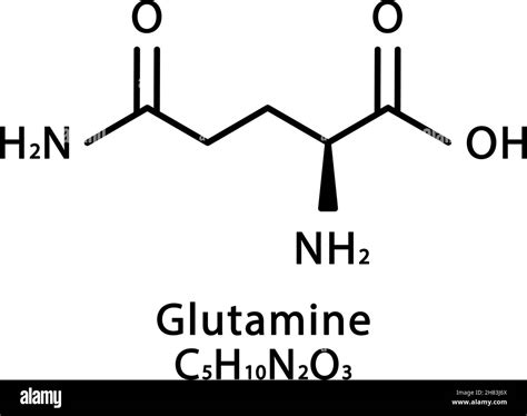 Glutamine structure illustration