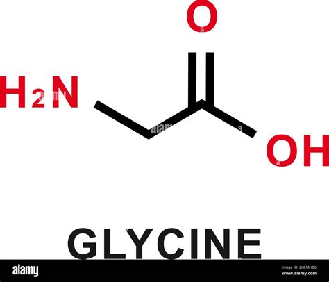 Glycine structure illustration