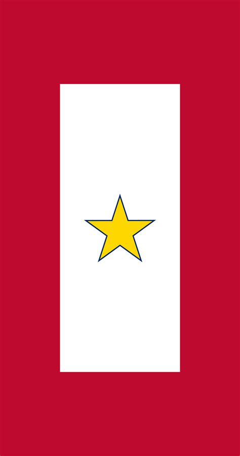 Gold Star Flag Evolution