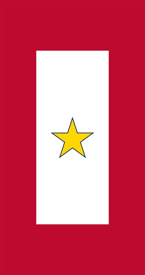 Gold Star Flag Importance