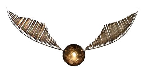 Golden Snitch Wings Inspiration 2