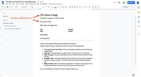 Google Docs