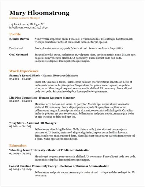 Google Docs Resume Template 10