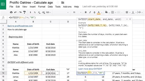 Google Sheets Age Formula Example 2