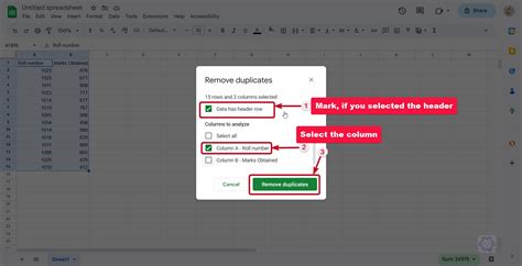 Google Sheets Duplicate Data Identification