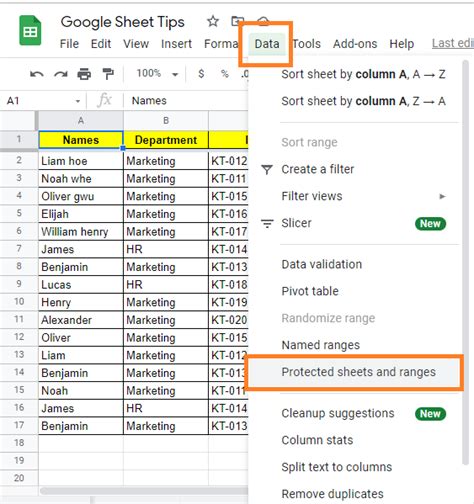 Google Sheets protected cells tips