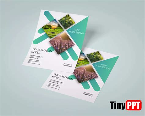 Google Slides Flyer Template 4