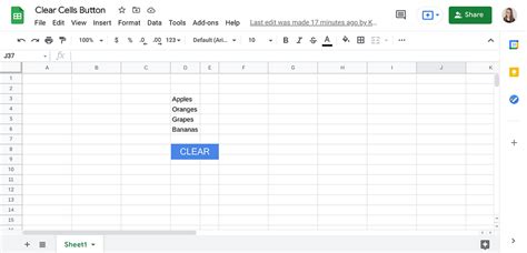 Google Spreadsheet clear data option