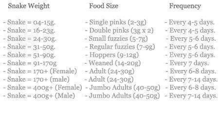 Gopher snake feeding chart for hatchlings to adults