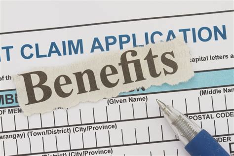 Government Benefits Application