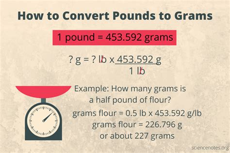 Gram to Pound Conversion