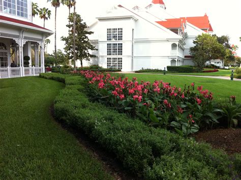 Grand Floridian landscaping