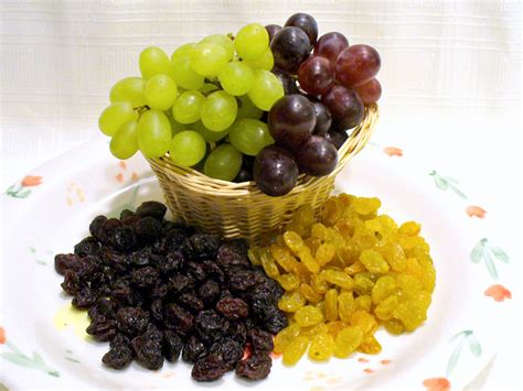 grapes and raisins toxic to dogs