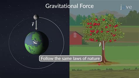 Gravity force concept