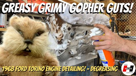 Greasy gopher guts microscope