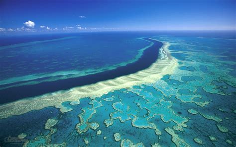 Coral reef in the Great Barrier Reef Reserve