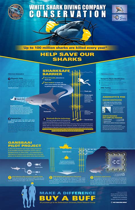 Great White Shark conservation efforts