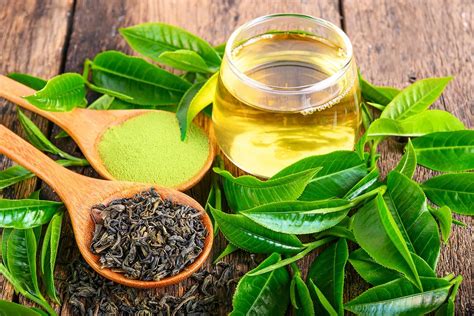 Green Tea Extract Weight Loss Pill