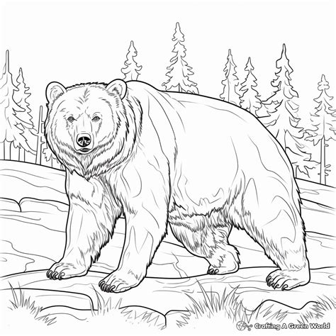 Grizzly Bear Coloring Page