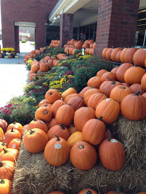 A grocery store display of pumpkins