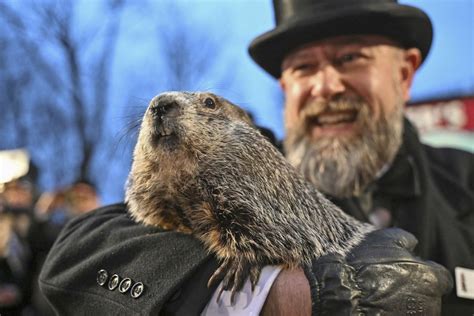 Punxsutawney Phil on Groundhog Day