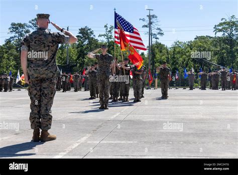 A group of soldiers performing a group salute