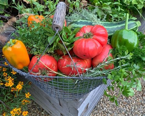 Growing Your Own Food