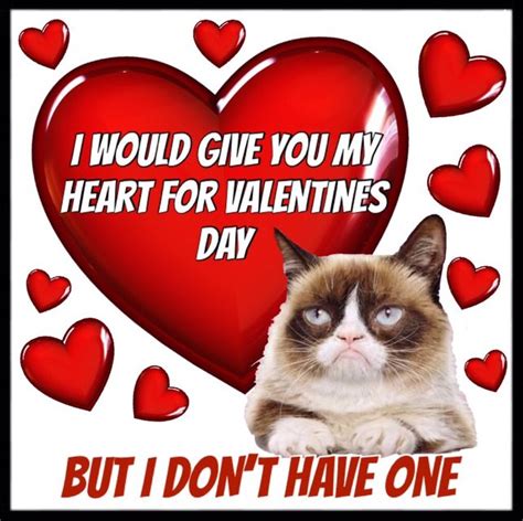 Grumpy Cat Valentine's Day Meme