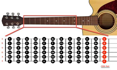 Guitar Frets