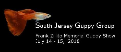 A memorial for a guppy