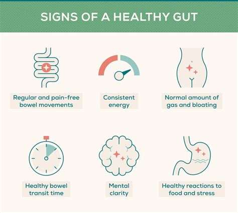 Gut microbiome illustration