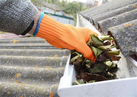 Importance of Gutter Cleaning