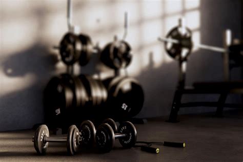 Gym Equipment Essentials