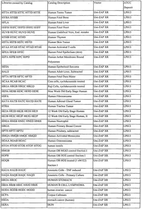 Hair Color Formulation Worksheet