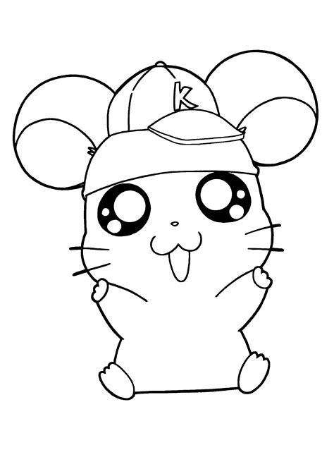 A hamster coloring page designed for kids, featuring a cute hamster and various toys