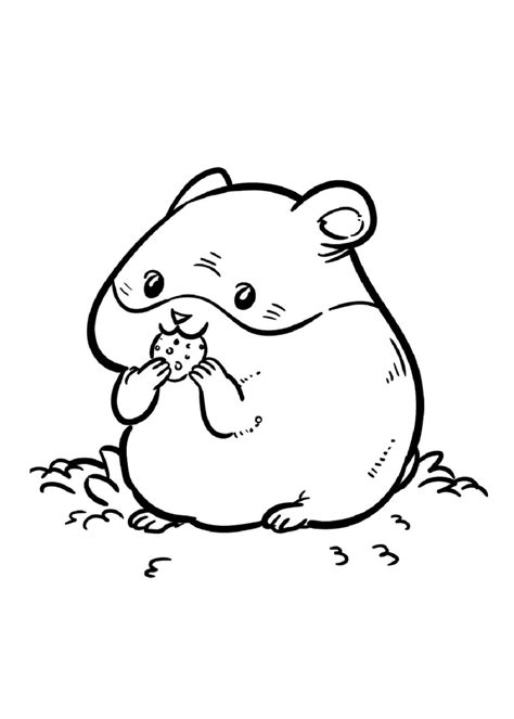 A hamster coloring page featuring a cute hamster and various toys