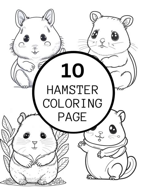 A detailed hamster coloring page designed for adults, featuring a realistic hamster and intricate patterns